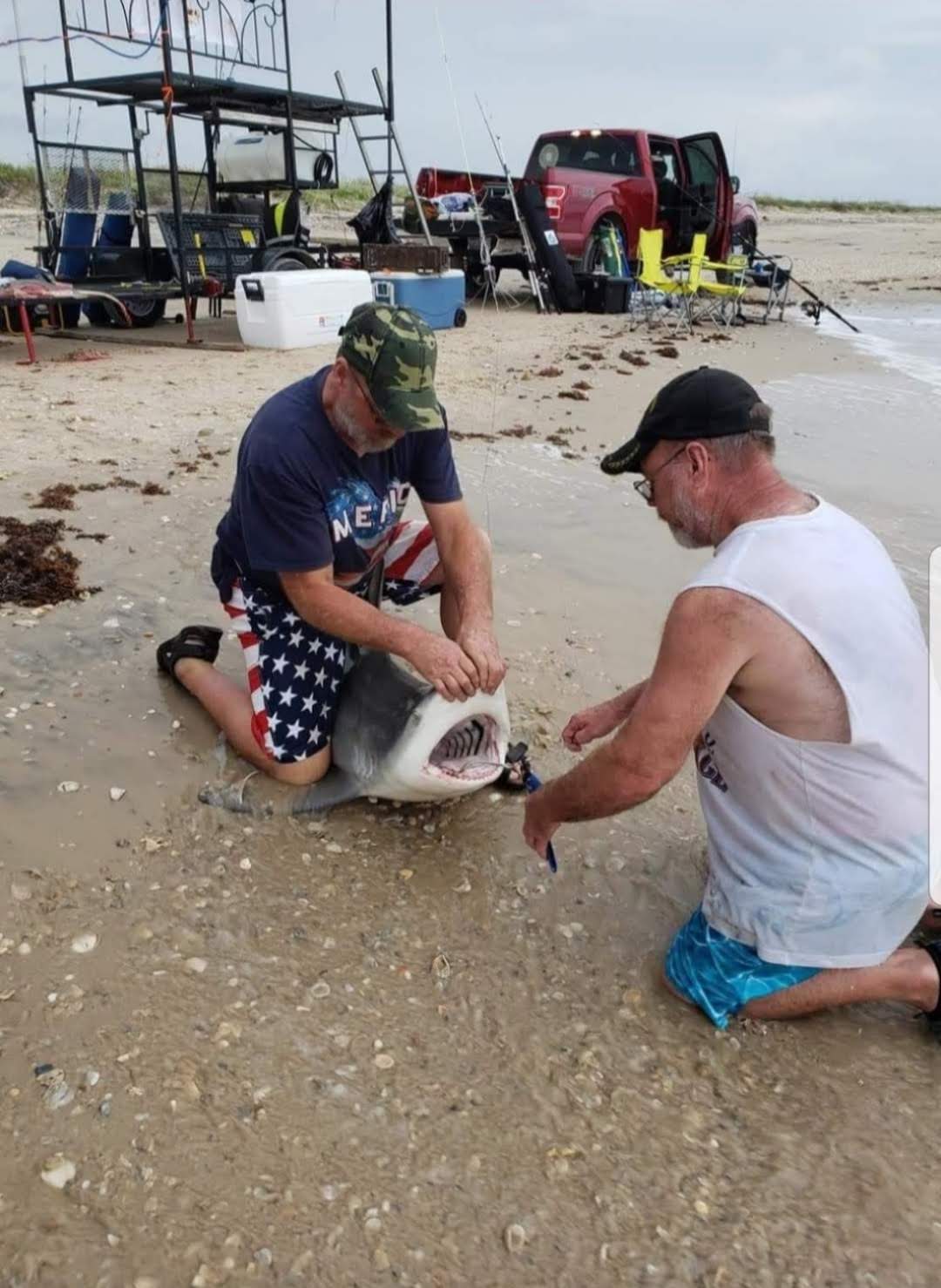 Screenshot_20210519-083527_Photos